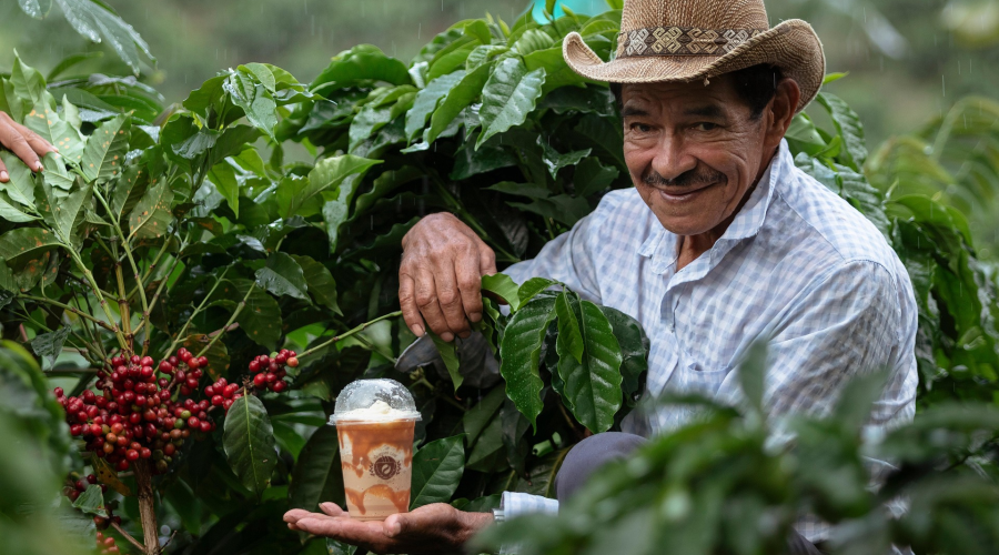 Introduction to Specialty Coffee